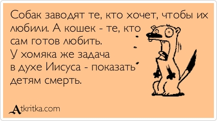 atkritka_1504175799_387.jpg