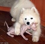 attachment.jpg