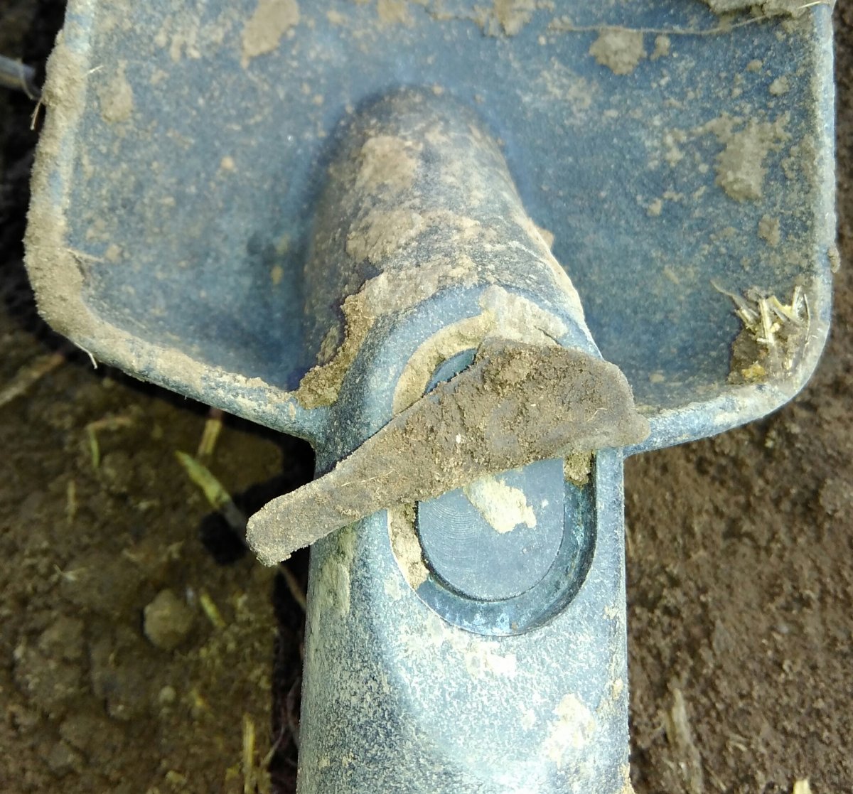 aviary-image-1490557881518.jpeg