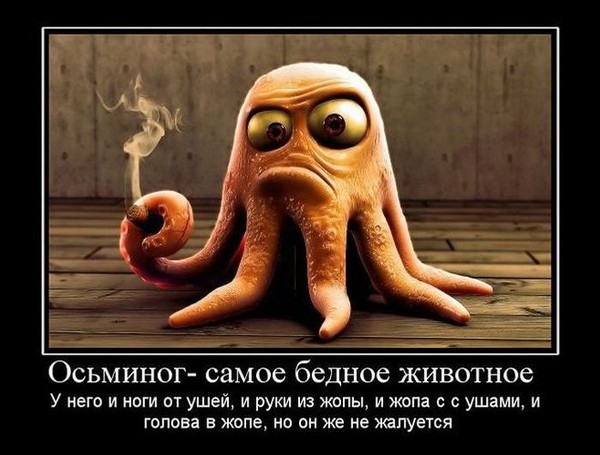 b0e83d197e9e12ccf92feca26ae6883d_i-42.jpg