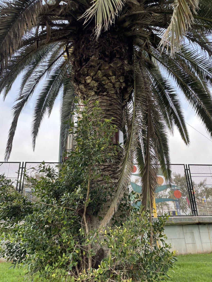 B25C3031-541E-4B36-9EDA-8B1CC43A347E.jpeg