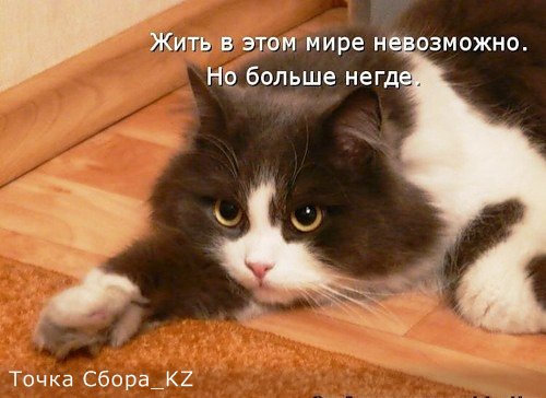 b2e18b0aa921.jpg
