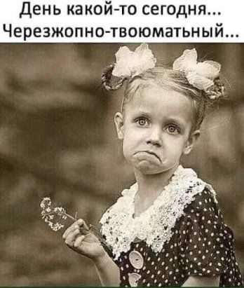 b3f32252e946a3cb52c56c9954e52048.jpg