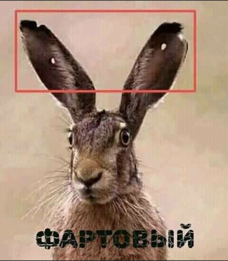 B634329D-B6E5-4E1D-A6FB-DCDD62E3C5BB.jpeg