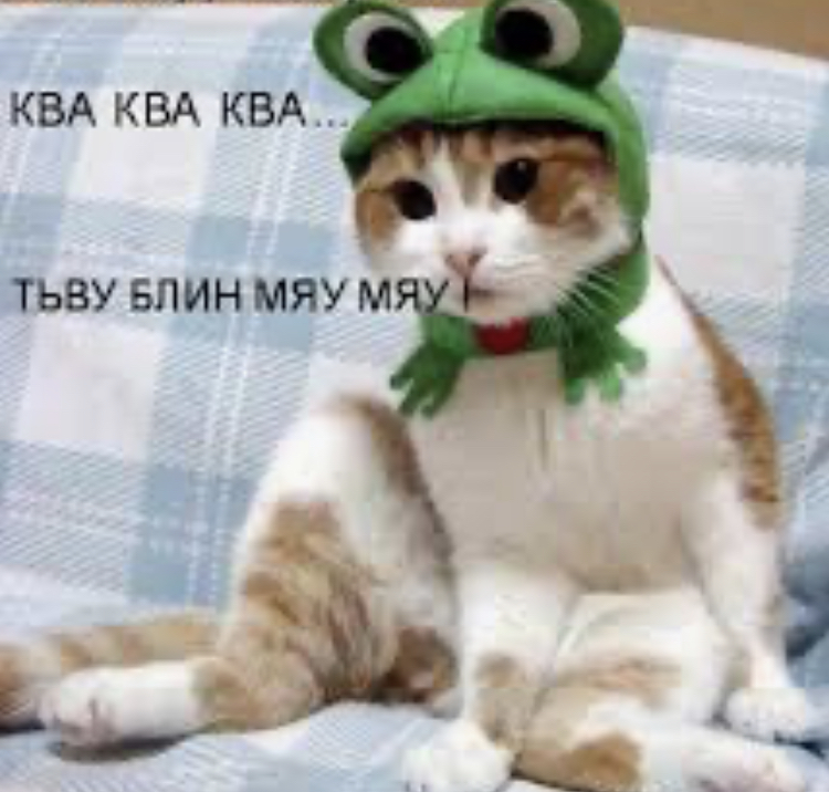 B7E52B8D-E30B-4224-BBBE-6655F078E23D.jpeg