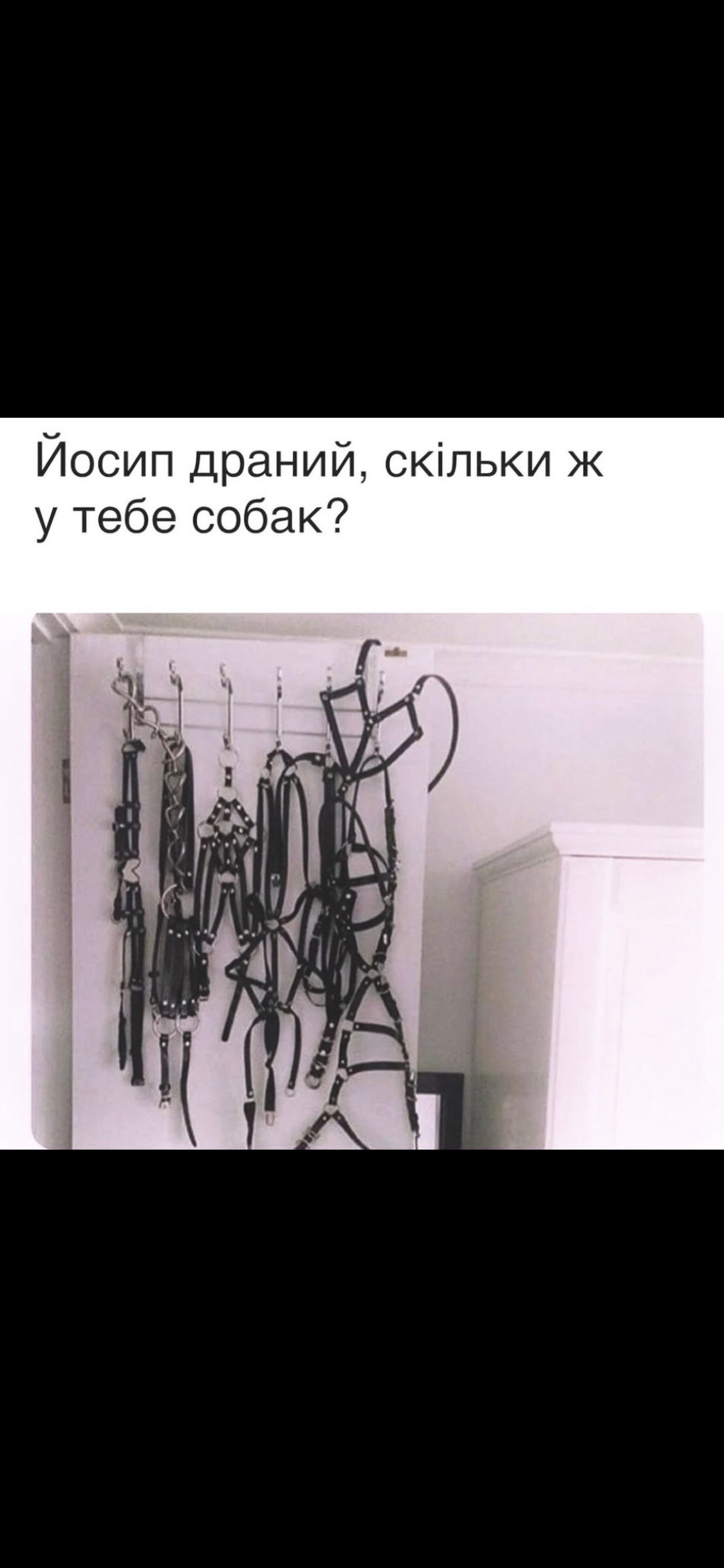 B84DE3B9-38DF-4C80-8EC5-1E4C72671083.jpeg