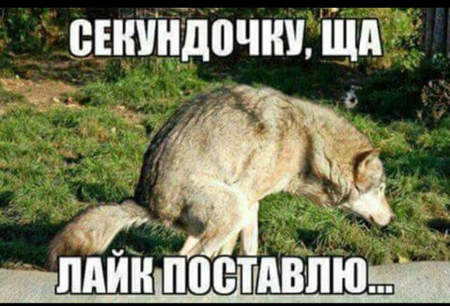 B8D26435-BFE5-44EF-B28D-3CCA728E0E26.jpeg