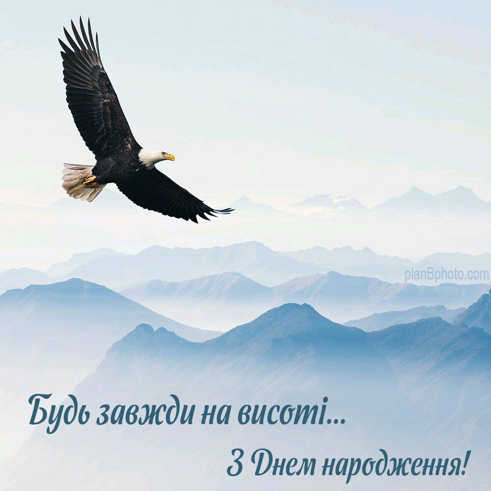 b9807a0e195e5f9988aad60d4191aca4.jpg
