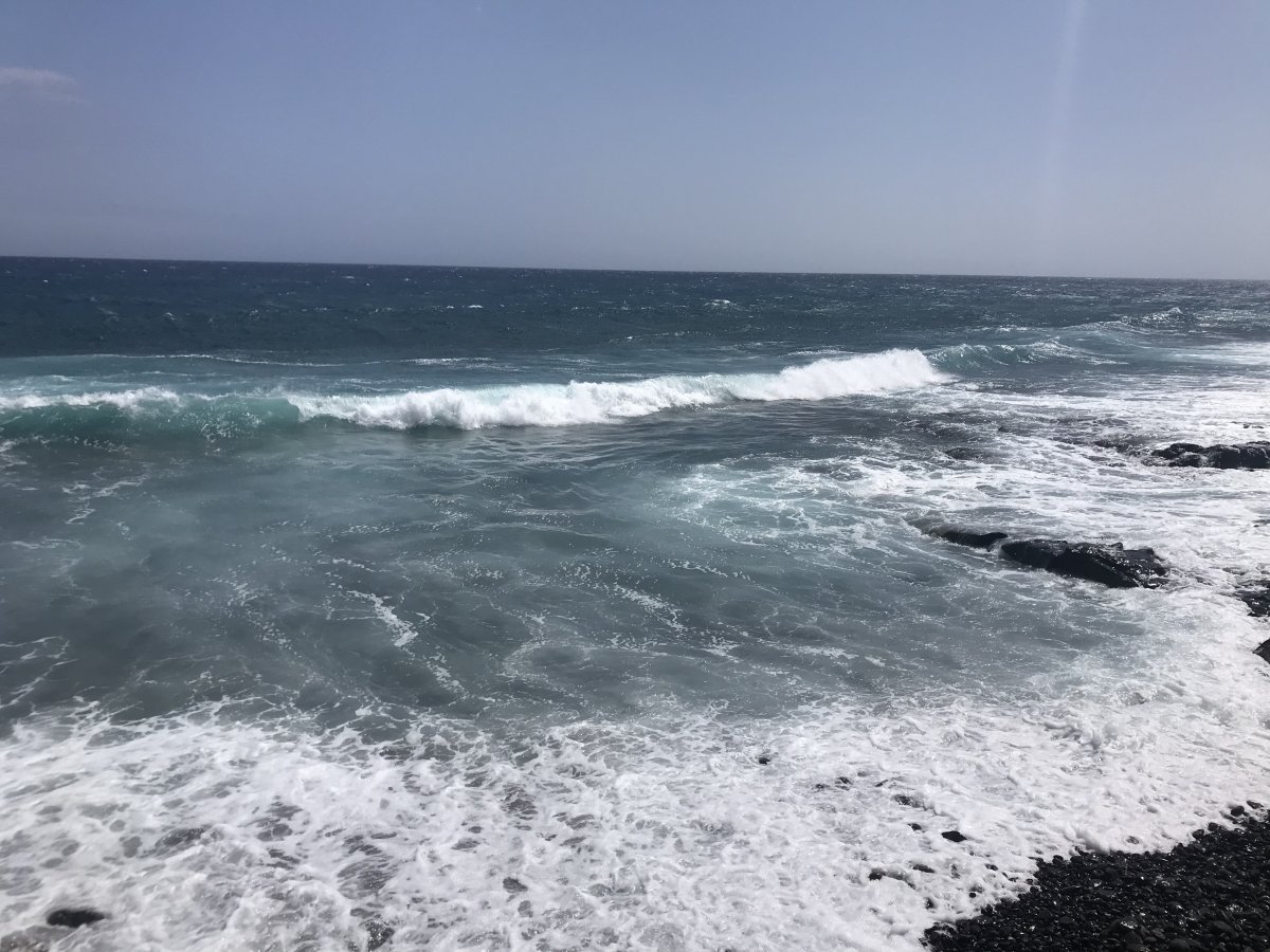 B9A7F2D7-5F68-40FF-98B2-BE8D7E5F4F0F.jpeg