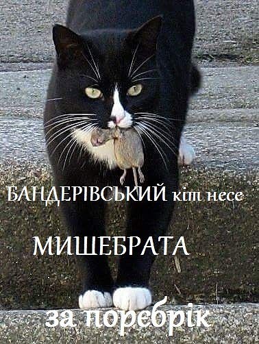 бан.jpg