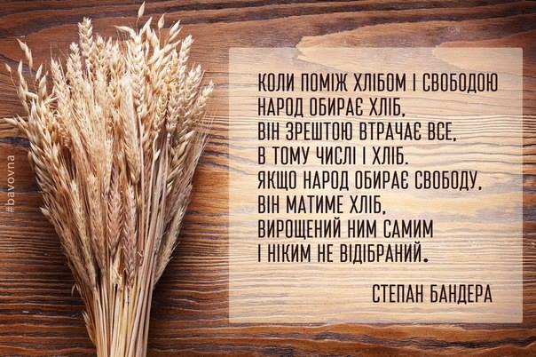 бандера1.jpg