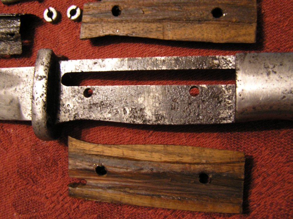 bayonet 023.jpg