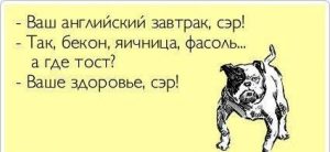 be9d5ee21696976464bbcbc881adc2c9-300x138.jpg
