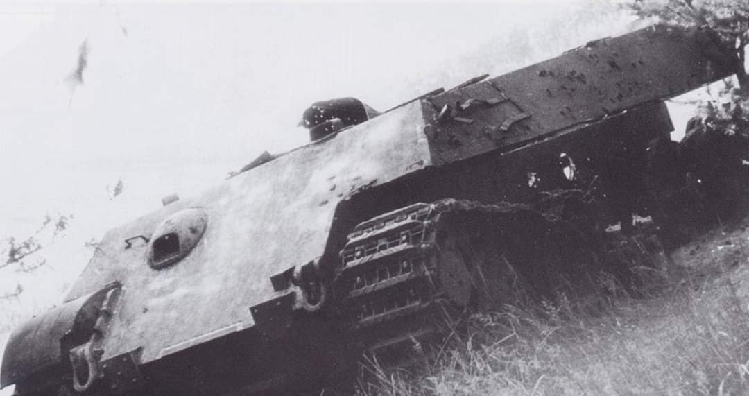 Берг пантера 1988.jpg