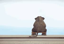 Без названия (1).jpeg