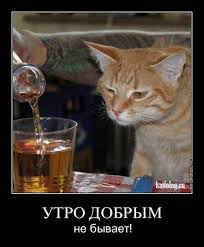 Без названия (1).jpg