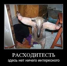 Без названия (2).jpeg