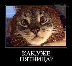 Без названия (2).jpg