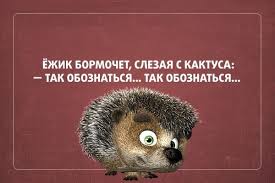Без названия.jpeg