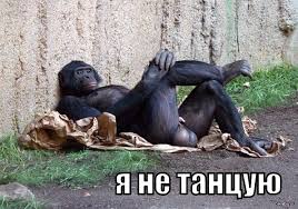 Без названия.jpeg