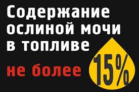 Без названия.jpg