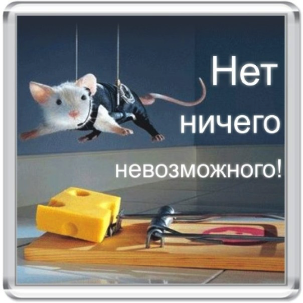 bez_zagolovka93.png