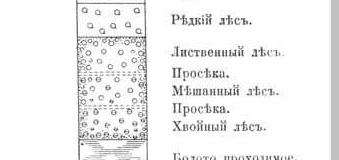 Безымянный.png