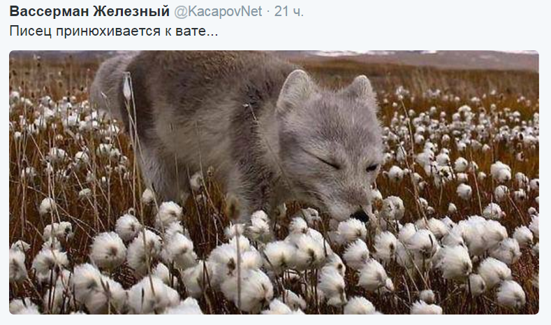 Безымянный.png