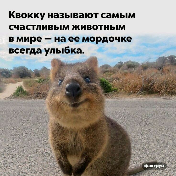 bf2df1ad43bca599fb810612e0a19da6.jpg