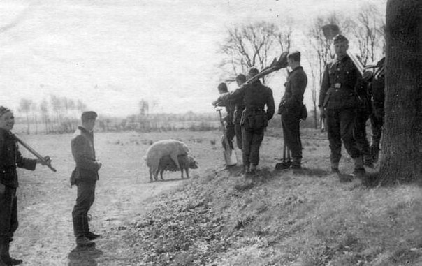 BG4iSLBwouc.jpg