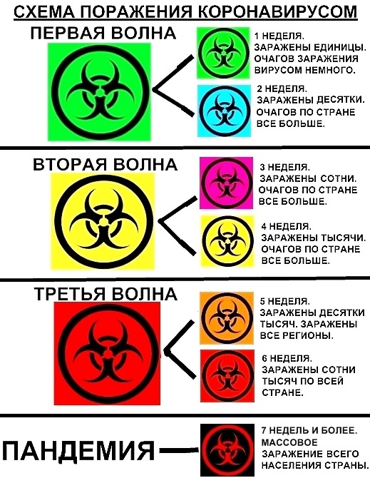 bio 2.jpg