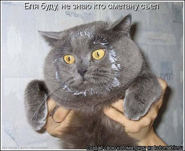 Бля буду.jpg