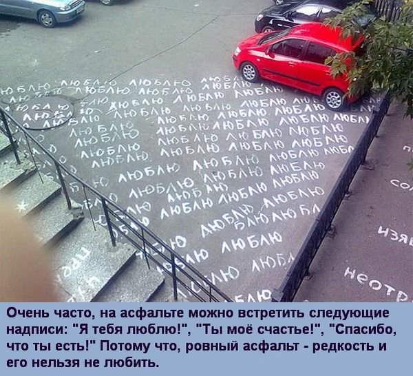 Blob66cee0e96c034a17ad42adaefbdcf295.jpg