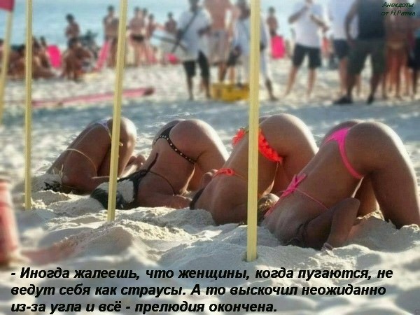 Blobf268abd997384805864adacc23aefa30.jpg