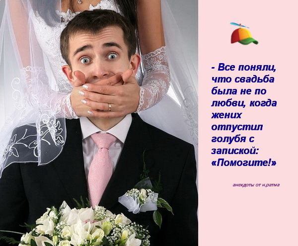 Blobf995911eb83b49079fdd53c80ddb3f90.jpg
