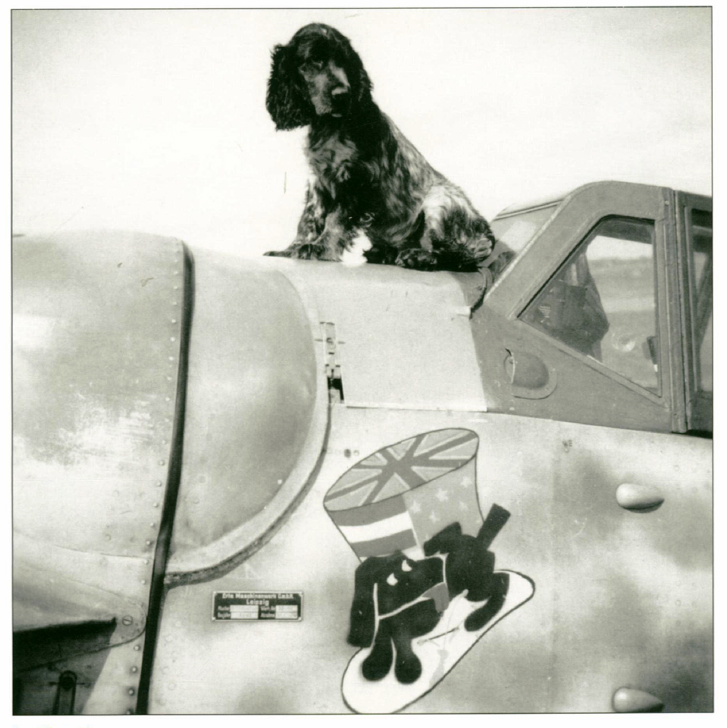 Brendy-Bf109G6_Lt.J.Göhre.jpg
