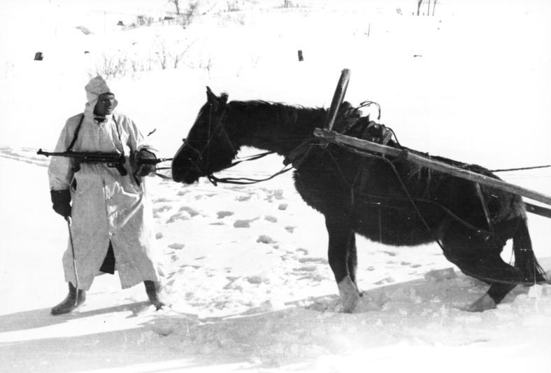 Bundesarchiv_Bild_101I-215-0366-03A,_Russland,_Soldat,_Pferd_im_Winter.jpg