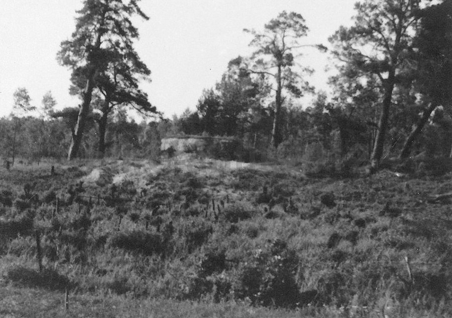 Bunker-127.jpg