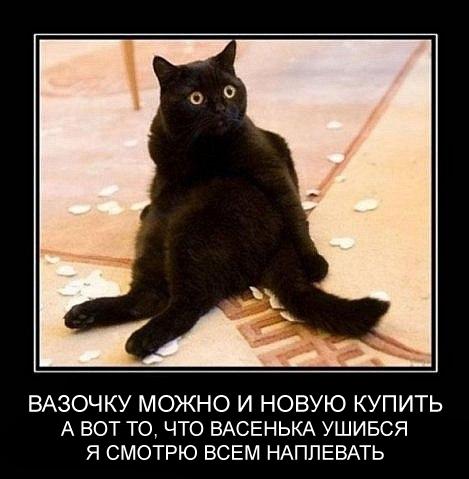 BzxIbzs0-EI.jpg