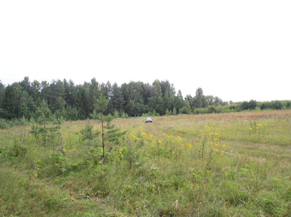 C 003.jpg