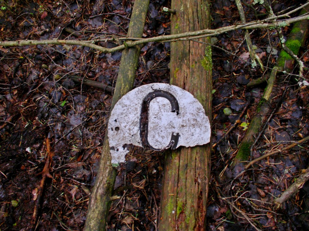 C 005.jpg
