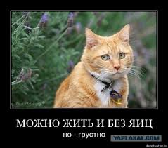 ц.jpg
