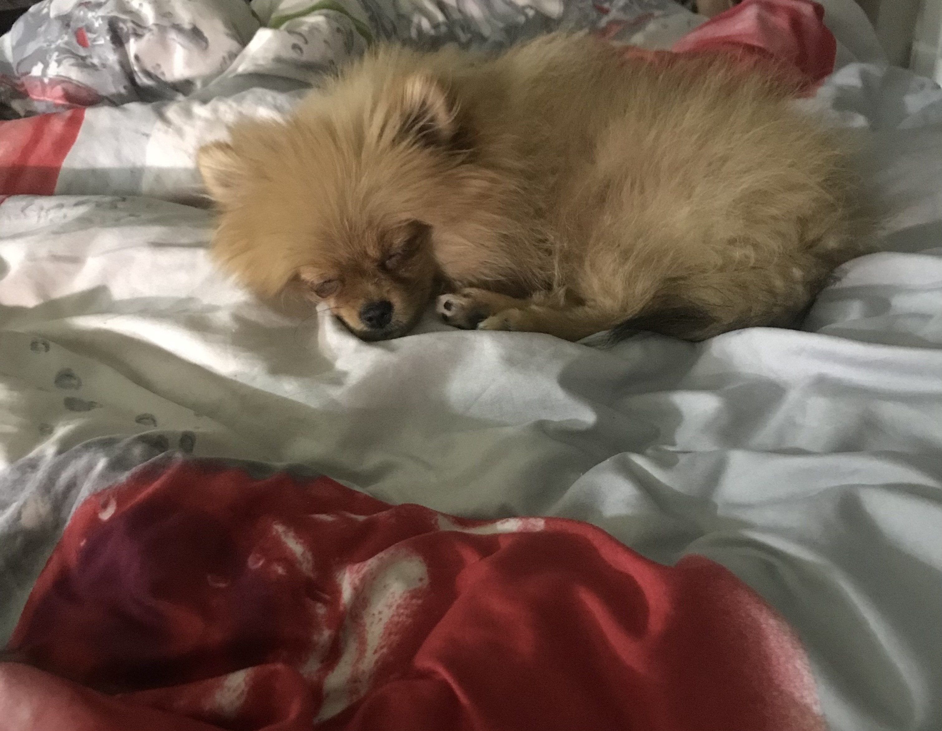 C1D03168-0AE6-4272-B52E-00AB0754D687.jpeg