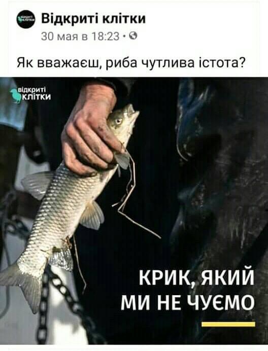 C2B842A8-9B4A-4949-9930-F71A3CCACE23.jpeg