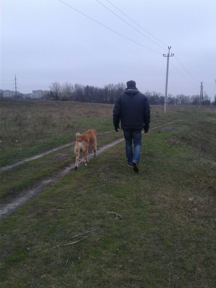 ^C3853CF97F17315E25AC84D407FBE594557CA02BB63CF350C4^pimgpsh_fullsize_distr.jpg