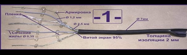 C6B7B365-BC55-478A-8F85-A3CA7EA8738A.jpeg
