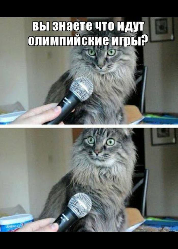 C78B8305-23AA-462D-AF10-C64BA04A98C7.jpeg