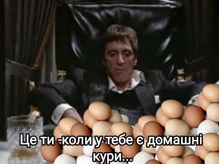 C9D883F8-F711-4004-BB1D-73BE13CFF716.jpeg
