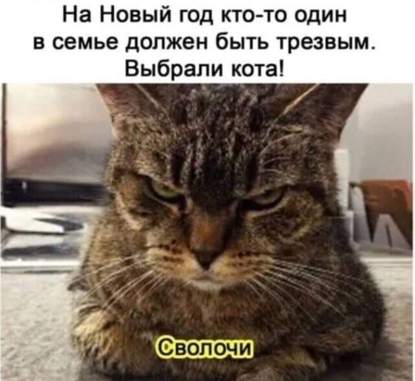 CA15BEDD-A6C5-4F0D-BFCF-58ABD221D022.jpeg
