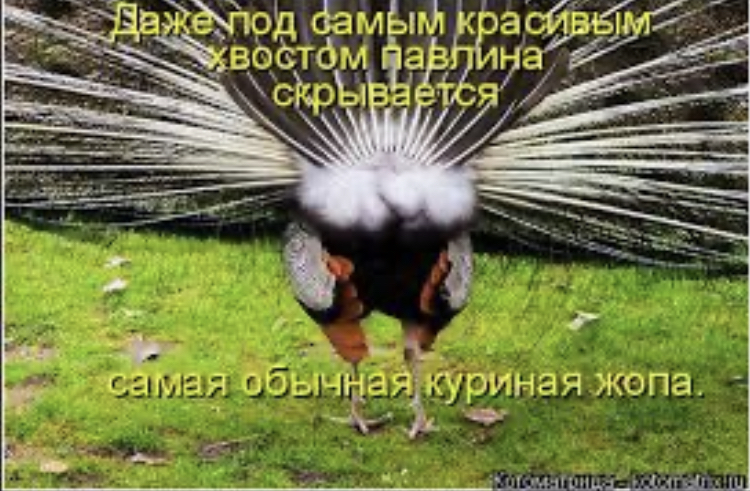 CA46D83D-C5D4-4CE0-8C40-3B27667A186C.jpeg
